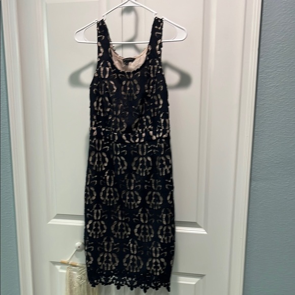 Elegant Black and Cream Lace Dress - Picture 1 of 4